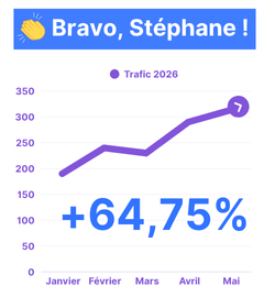 seo-audit-offert-seo-b2b-consultant-theo-brun